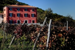 Casa Rossa Vinograd