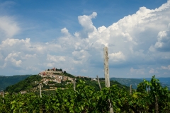 Motovun wine