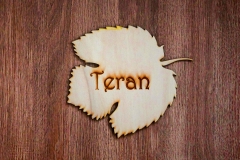 teran1